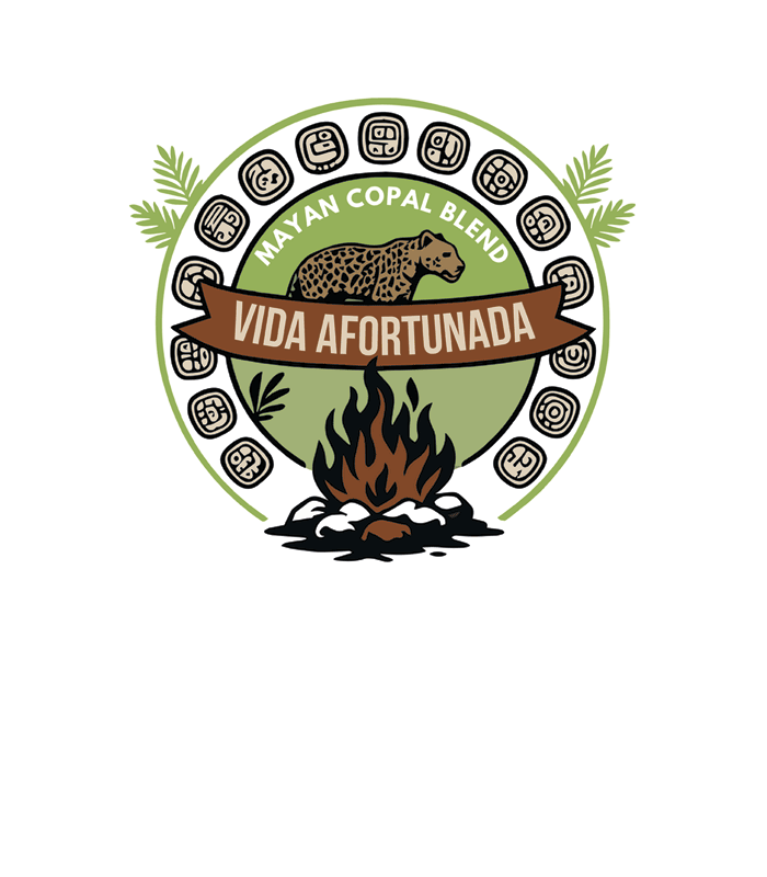 Vida Afortunda Logo